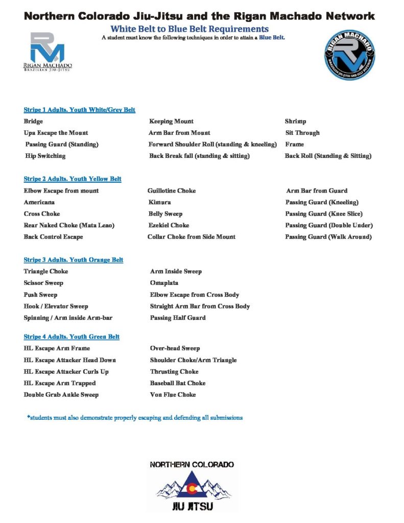 bjj blue belt requirements pdf